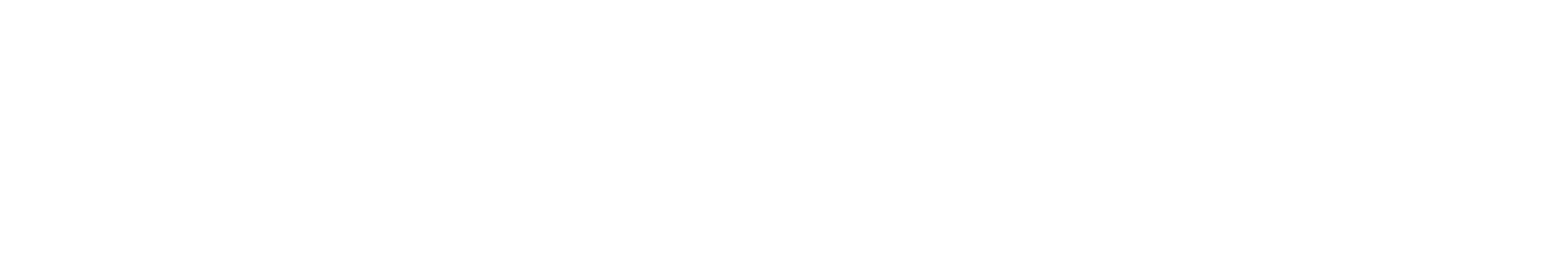 NANDES
